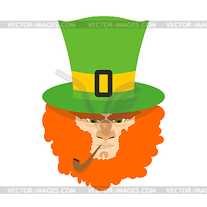 Leprechaun with red beard. St. Patricks Day - royalty-free vector clipart