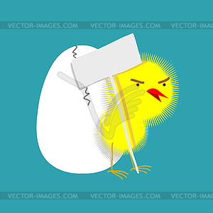 Chick and shell egg . Small Chicken. little farm - vector image