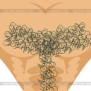 Мужчина Брутальный торс. Волосатая грудь у мужчин. фитнес - векторный клипарт / векторное изображение