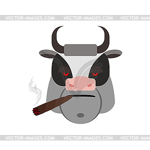 Злой бык с сигарой. Свирепый морды коровы. Зло - векторная иллюстрация