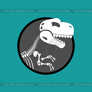 Dinosaur skeleton . Remains of Tyrannosaurus. - vector image