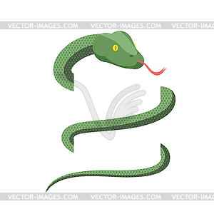 Snake wraps . Cobra. Green Reptile - vector image