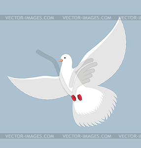 White Dove. Flying White pigeon. Bird with wings. - vector image