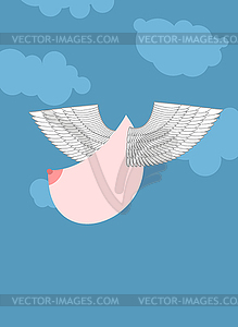 Boobs with wings flying. Flying tit. Sorority - vector clipart