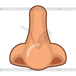 Nose . Part of man face. Nostrils and transferred - vector clip art