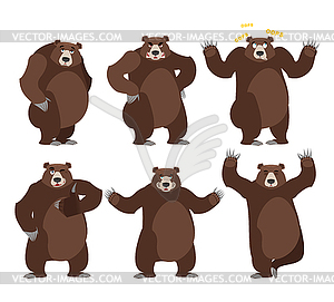 Bear set. Grizzly various poses. Expression - vector clipart