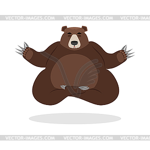 Bear meditates. Wild animals. Status of nirv - vector image