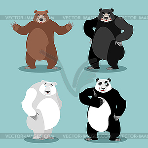 Bears set Breed. Grizzly and panda. American black - vector clip art