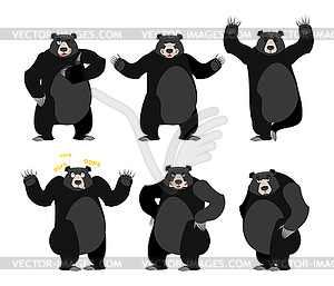 Baribal American black bear set. Grizzly various - vector image