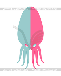 Color squid. Underwater Clam. Animal with tentacles - vector image