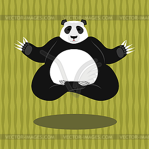 Panda Yoga. Chinese bear on background of bamboo. - vector clipart