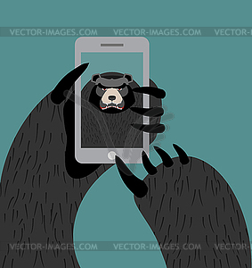 Bear selfie. Grizzly photographed themselves on - vector image