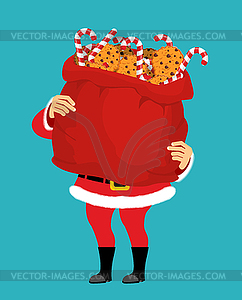 Santa Claus and bag of cookies and peppermint stick - vector image