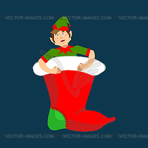 Christmas stocking and Santa Elf. Little Claus - royalty-free vector clipart