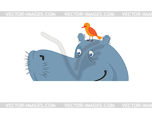 Hippo in water. Hippopotamus in river. Large - vector image