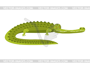 Crocodile . Alligator. Water reptile - vector EPS clipart