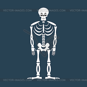 Skeleton sad Emoji. Skull emotion sadness. Human - vector clipart