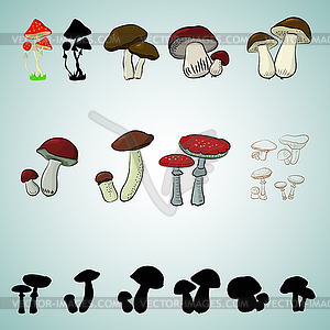 Mushrooms - vector clipart