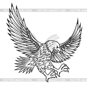 Flying eagle - vector clipart