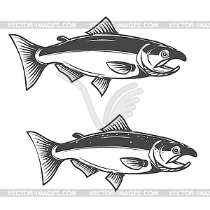 Salmon fish icons - vector image