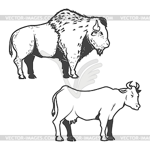 Cow and buffalo icons . Bizon - royalty-free vector clipart