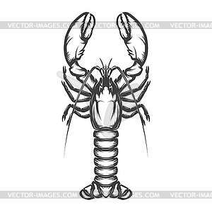 Lobster icon  - vector image