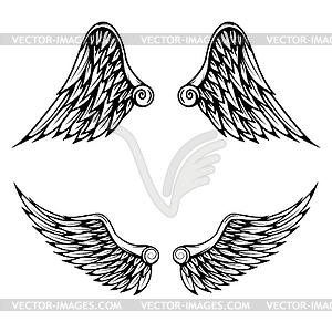 Vintage wings  - vector clip art