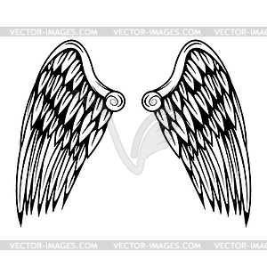 Vintage wings  - vector image