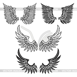 Vintage wings  - vector image