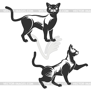 Set of cat  - vector clip art