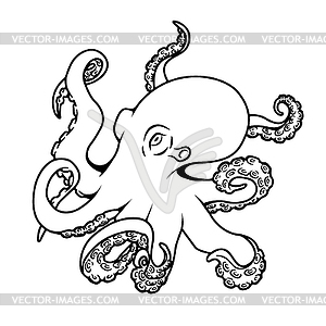 Octopus  - vector image
