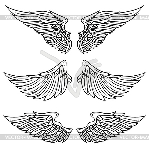 Vintage wings  - vector clipart