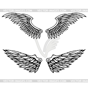 Vintage wings - vector image