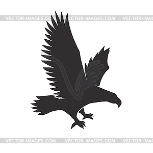 Flying eagle  - vector clipart