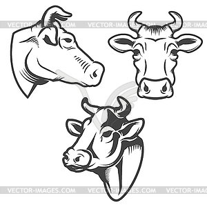 Bull head emblem . Design element fo - vector clipart