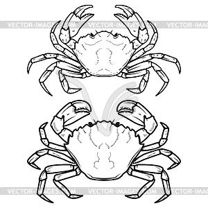 Set of crabs icons . Design elements - stock vector clipart