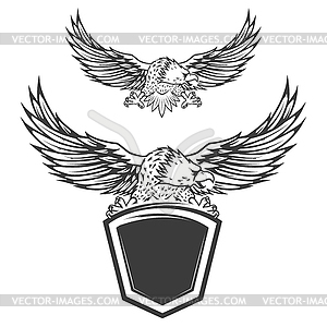Eagle on shield . Design element - vector clipart