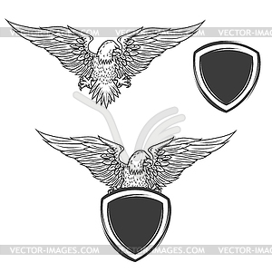 Eagle on shield . Design element - vector clipart
