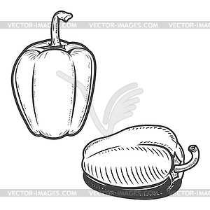 Set of bell pepper icons on background. Design - vector clipart