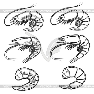 Set of shrimps icons . Seafood. Desi - vector clipart