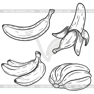 Set of banana icons . Design element - vector clipart