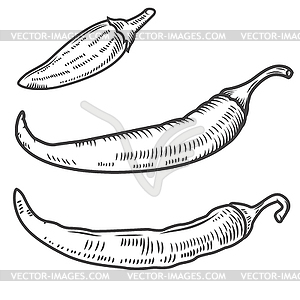 Set of chili peppers . Design elemen - vector clipart