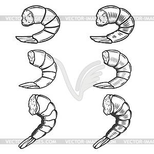 Set of shrimp tails . Seafood. Desig - vector clipart