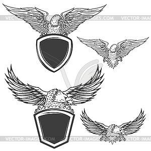 Eagle with shield . Design element f - vector clipart