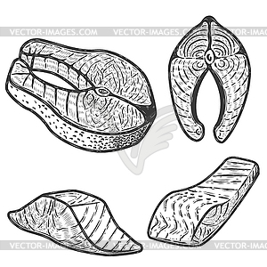 Set of salmon meat pieces . Design e - vector image