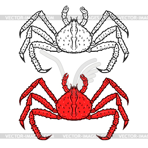 Set of king red crab icons background. Seafoo - vector clip art