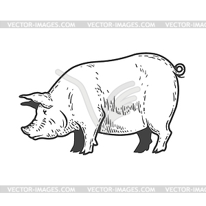 Pig . Design elements f - vector clip art