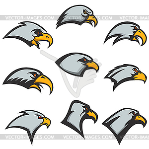 Set of eagle heads icons . Design el - color vector clipart