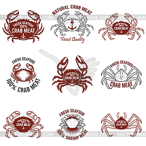 Set of crab meat labels. Fresh seafood. Design - stock vector clipart