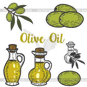 Olive oil . Design element for logo, label, emblem - vector clipart